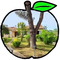 pomme